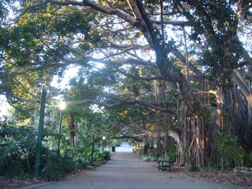 The Gardens Apartments Brisbane Buitenkant foto